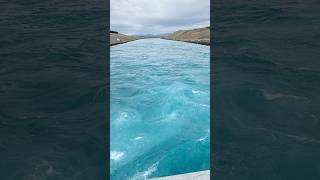 Boys fishing trip to NZ South Island Big Fish incoming fishing catchandrelease nz bigfish [upl. by Eneloc81]