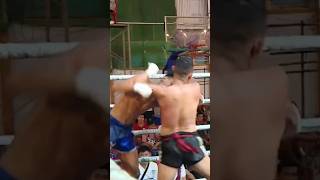 LETHWEI HEADBUTT KNOCKOUT  NOCAUTE DE CABEÇA DE LETHWEI  လက်ဝှေ့ ဘောက်ထတ်ခေါက် [upl. by Binah]