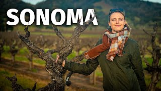 The Guide to SONOMA and its Wines [upl. by Annahsor]