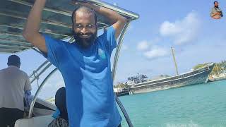 Exploring Uninhabited Island in Maldives travel travelvlog maldives island islandlife [upl. by Anorahs206]