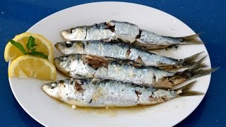 Sardinas Sin Humos Ni Olores [upl. by Neirad252]