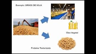 Agroindústria conceito objetivos missão [upl. by Eizus]