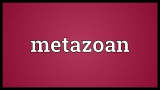 Metazoan Meaning [upl. by Adnohsed]