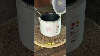 The Ultimate Rice In A Rice Cooker 2024 [upl. by Hayden]