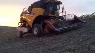 NEW HOLLAND CX 5090 HS CON BARRA A CATENE CRESSONI GIRASOLE [upl. by Bannon]