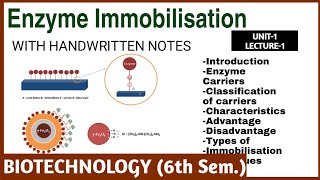 Enzyme Biotechnology  Enzyme Immobilization  L1 U1  Pharmaceutical Biotechnology 6th sem [upl. by Hadria814]