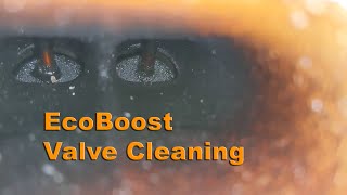 27L Ecoboost Valve Cleaning [upl. by Zug]