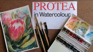 Painting a Protea in Watercolour [upl. by Aerdied509]