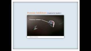 How HCV protease inhibitors work [upl. by Ikkir]