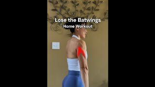 Home Workouts No Equipment TRICEPS [upl. by Pappas907]