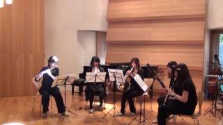 Anton ReichaQuintet in D major [upl. by Idnak]