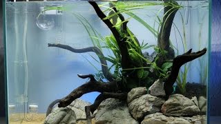 Nano Iwagumi Aquascape quotBluesky and Redsandquot ADA Mini M  Step by Step [upl. by Warford]