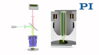 Confocal Microscopy [upl. by Manwell581]