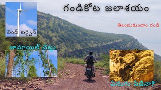 గండికోట జలాశయంPART1 జామాయిల్ చెట్టుwind turbine వంటి వాటిగురించి కొన్ని విషయాలను తెలుసుకుందాం [upl. by Sankey]