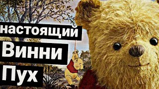 quotВИННИ ПУХquot  ИСТИННЫЙ СМЫСЛ МУЛЬТФИЛЬМА [upl. by Ezara]