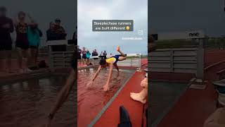 Steeplechase Runnerrunnning athletics youtubeshorts shots hanumanmotivation sportsviralvideo [upl. by Lottie]