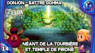 ZELDA ECHOES OF WISDOM  LETS PLAY 14 FR  NÉANT DE LA TOURBIÈRE ET TEMPLE FIRONE DONJON  GOHMA [upl. by Lem]