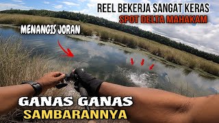 REEL DAN JORAN MENJERIT‼️CASTING IKAN GABUS  SHIMANO SLX DC [upl. by Yankee997]