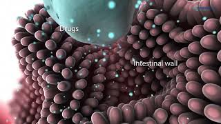 Did you know your bodys epithelial cells play a critical role in how drugs are absorbed  Kosheeka [upl. by Arin294]