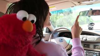 when you bring elmo and Kermit The Frog on a road trip [upl. by Cal]