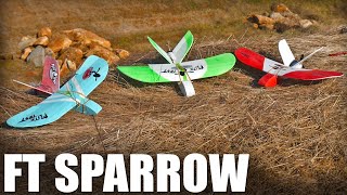 FT Sparrow  Mighty Mini  Flite Test [upl. by Horatio]