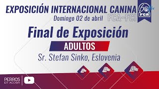 quotPerros en acciónquot Exposición Internacional Canina FCAFCI 2023 [upl. by Ordnassela187]