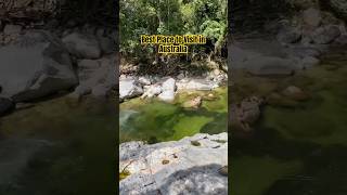 Discovering Mossman Gorge Paradise Found in Port Douglas exploreaustralia discoveraustralia [upl. by Nawek]