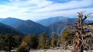 Cucamonga Peak  San Gabriel Mtns [upl. by Tharp529]