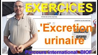 PARCOURS INTERNATIONAL BIOF Exercices  excrétion urinaire [upl. by Camel]