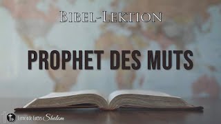 PROPHET DES MUTS [upl. by Yhtamit]