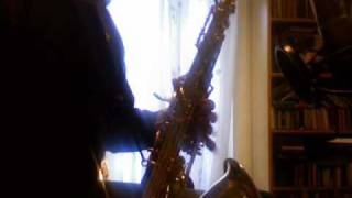 Selmer Reference 36 vs Yanagisawa T901 Tenor Sax [upl. by Maje790]