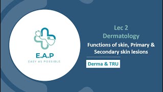 Lec 2  Dermatology  Functions of skin Primary amp Secondary skin lesions  Derma amp TRU [upl. by Grearson]