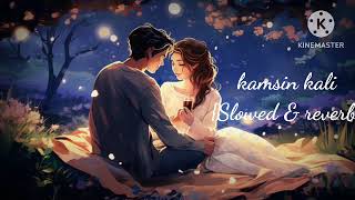 Kamsin kali song  by Tonny kakkar amp Neha Kakkar  Slowed amp reverb lofi music [upl. by Hamian64]