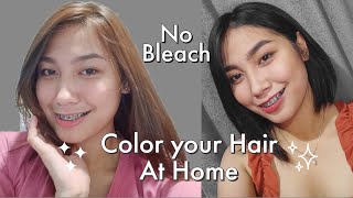 DIY Hair color  Loreal Paris 913  How to Color your Hair at Home  No bleach [upl. by Ais]