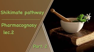 Shikimate pathway  pharmacognosy Lec2 part2 [upl. by Hurley]