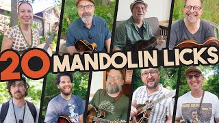 20 Mandolin Licks the PROS Use [upl. by Olrak]