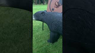 New 3D Target Rinehart Black Bear [upl. by Aihsercal]