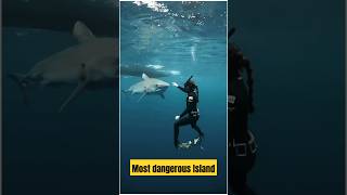 3 Most Dangerous Island reelstrending factsvirals  facts island shorts short [upl. by Lambert]