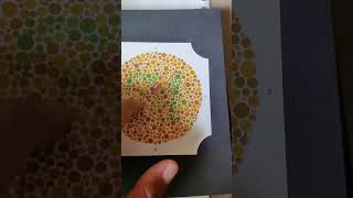 Army Color Vision Test  Full Plate with Original Book [upl. by Enohpesrep]