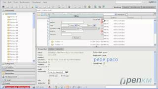 OpenKM  pagination  spanish [upl. by Ehcropal]