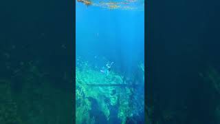 I found some of my first freediving videos Shot by Coralia Dives 🧜‍♀️ mermaid mermaidswimming [upl. by Aeneas]