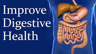 Improve Your Digestive Health  Taichi Zidong [upl. by Rettuc758]