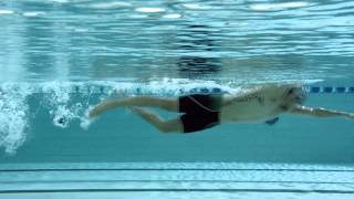 Get Speedo Fit  Florent Manaudou  Crawl Mouvement des bras [upl. by Linehan]