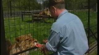 Gazza at a Safari Park  Funny Outtakes [upl. by Anoiek]