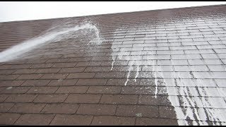 Cleaning a Roof with Oxygen Bleach [upl. by Ellirehs520]