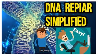 DNA Repair mechanism quick and easy in UrduHindi [upl. by Tavie]