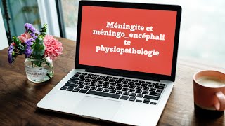 Méningite et méningoencéphalite  physiopathologie [upl. by Gnurt]