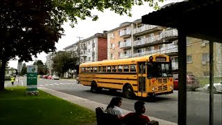 CANADIAN SCHOOL BUSES  DRIVING ACTION [upl. by Laks90]