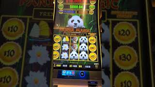 Panda Magic so many bonus in a bonus [upl. by Novat]