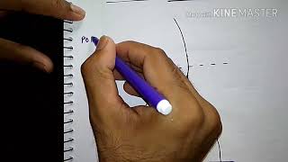 Common peroneal nerve Chart  TCML [upl. by Mansfield]